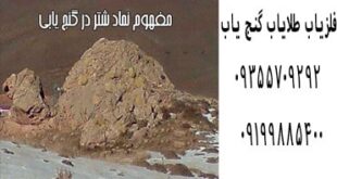 نشانه شتر در گنج یابی