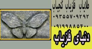 نشان پروانه در گنجیابی