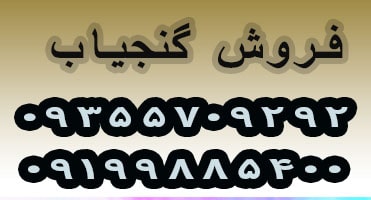 فروش گنج یاب