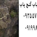 نماد کبوتر در گنج یابی