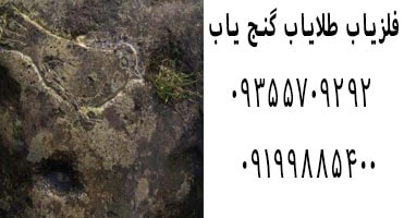 نماد کبوتر در گنج یابی