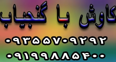 کاوش با دستگاه گنج یاب