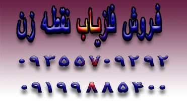 خرید فلزیاب نقطه زن