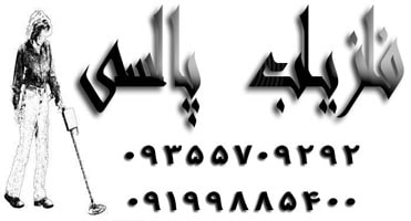 فلزیاب پالسی