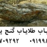 نماد قورباغه در گنج یابی چیست