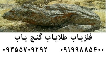 نماد قورباغه در گنج یابی چیست
