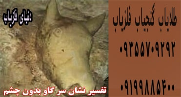 نشان سرگاو بدون چشم در گنج یابی