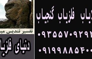 نماد میمون در گنج یابی