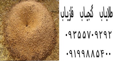 نشانه لانه مورچه در گنج یابی
