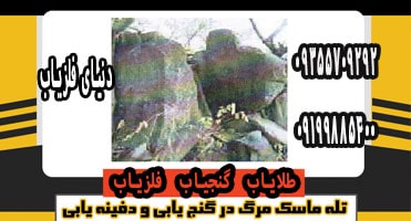 تله ماسک مرگ در گنج یابی