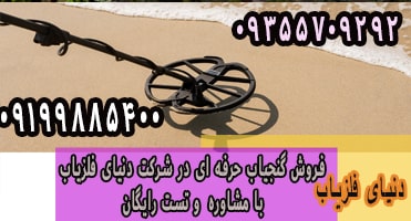 گنج یاب حرفه ای