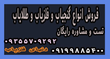 قیمت گنج یاب در ایران