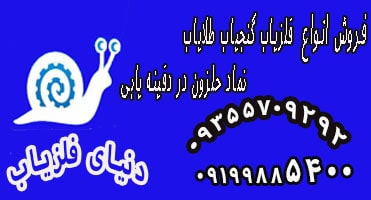 نماد حلزون در دفینه یابی