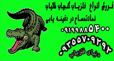 نماد تمساح در دفینه یابی