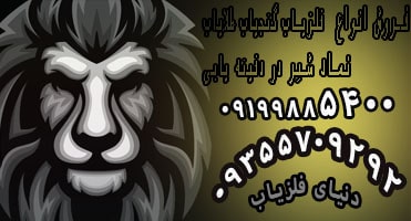 آثار و نشانه شیر در دفینه یابی