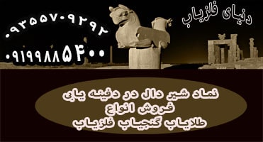 نماد شیردال در گنج یابی