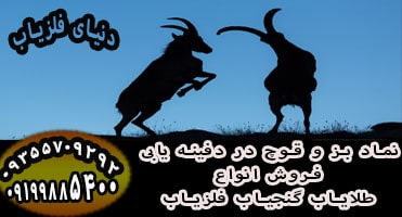 نماد بز یا قوچ در دفینه یابی