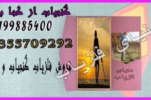 از کجا گنج یاب بخریم