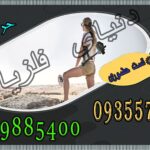 فلزیاب حرفه ایی و ویژگی آن