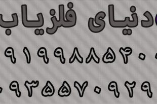 نقش مورچه در گنج و دفینه