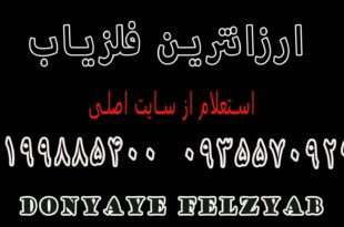 ارزانترین فلزیاب