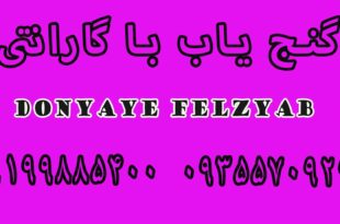 گنج یاب با گارانتی